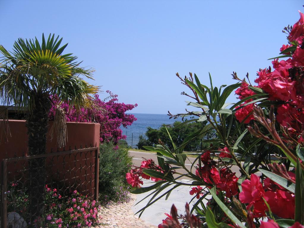 Les Bungalows De Figha Tarcu Εξωτερικό φωτογραφία