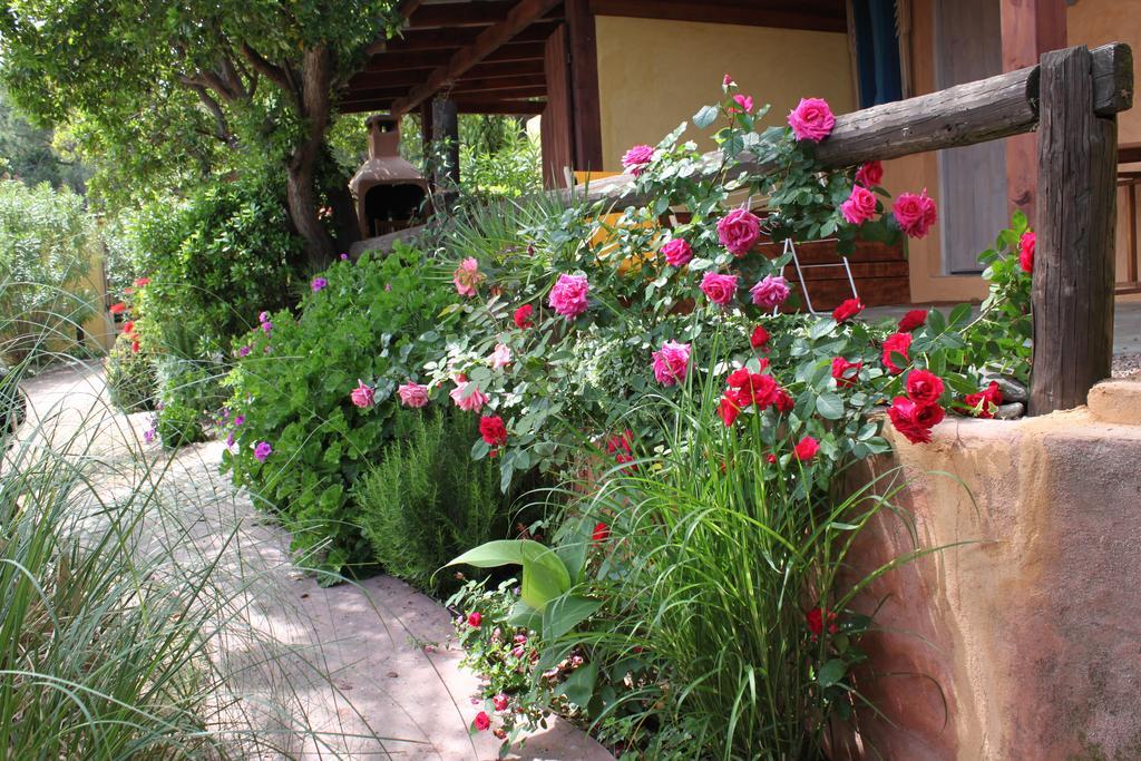 Les Bungalows De Figha Tarcu Εξωτερικό φωτογραφία