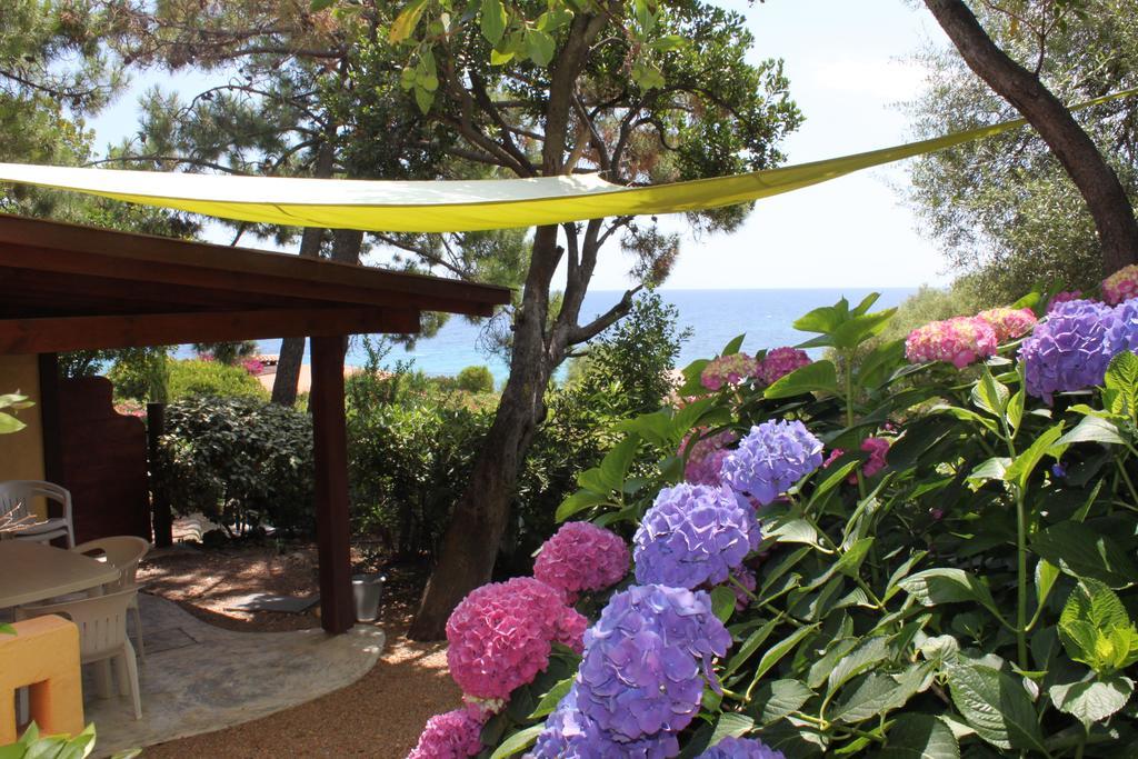 Les Bungalows De Figha Tarcu Εξωτερικό φωτογραφία