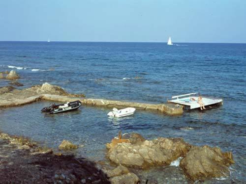 Les Bungalows De Figha Tarcu Εξωτερικό φωτογραφία