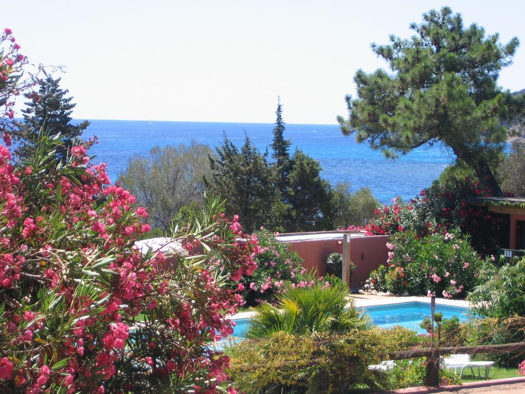 Les Bungalows De Figha Tarcu Εξωτερικό φωτογραφία